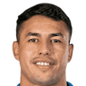 player-logo
