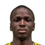 player-logo