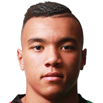 player-logo