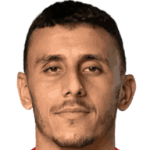 player-logo