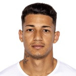 player-logo