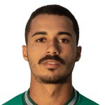 player-logo