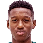 Vitor Eduardo da Silva Matos