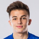 player-logo