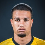 player-logo