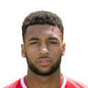 player-logo