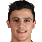 player-logo