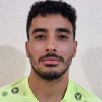 player-logo