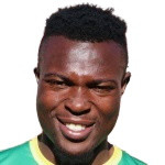 player-logo