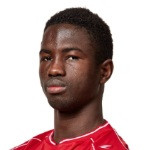 player-logo