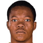 player-logo