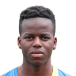 player-logo