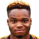 player-logo