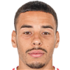 player-logo