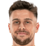 player-logo
