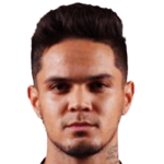 player-logo