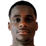 player-logo