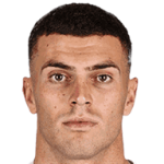 player-logo