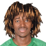 player-logo