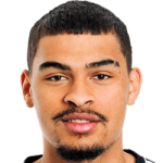 player-logo