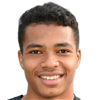 player-logo