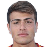 player-logo