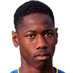 player-logo