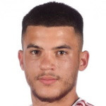 player-logo