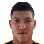 player-logo