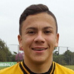 player-logo