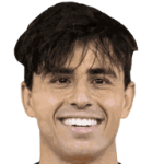 player-logo