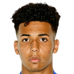 player-logo