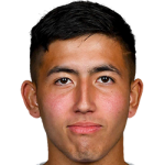 player-logo