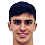 player-logo