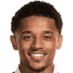 player-logo