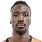 player-logo