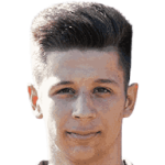 player-logo