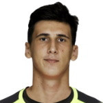 player-logo