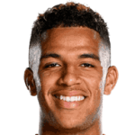 player-logo