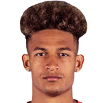 player-logo