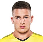 player-logo