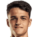 player-logo