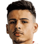 player-logo