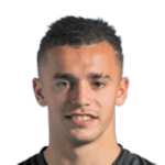 player-logo