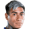 player-logo