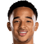 player-logo