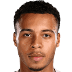 player-logo