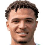 player-logo