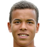 player-logo