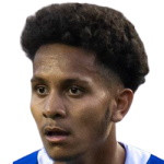 player-logo
